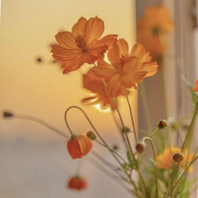 卡通摩托挑战赛无敌版