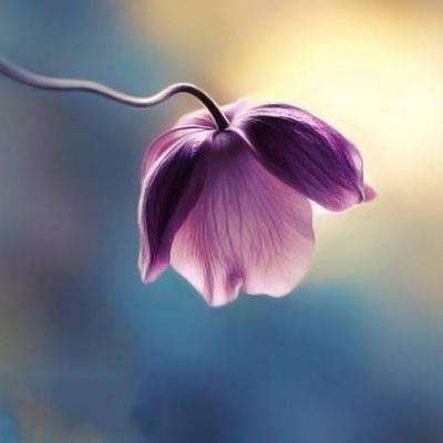 宁德市房地产网